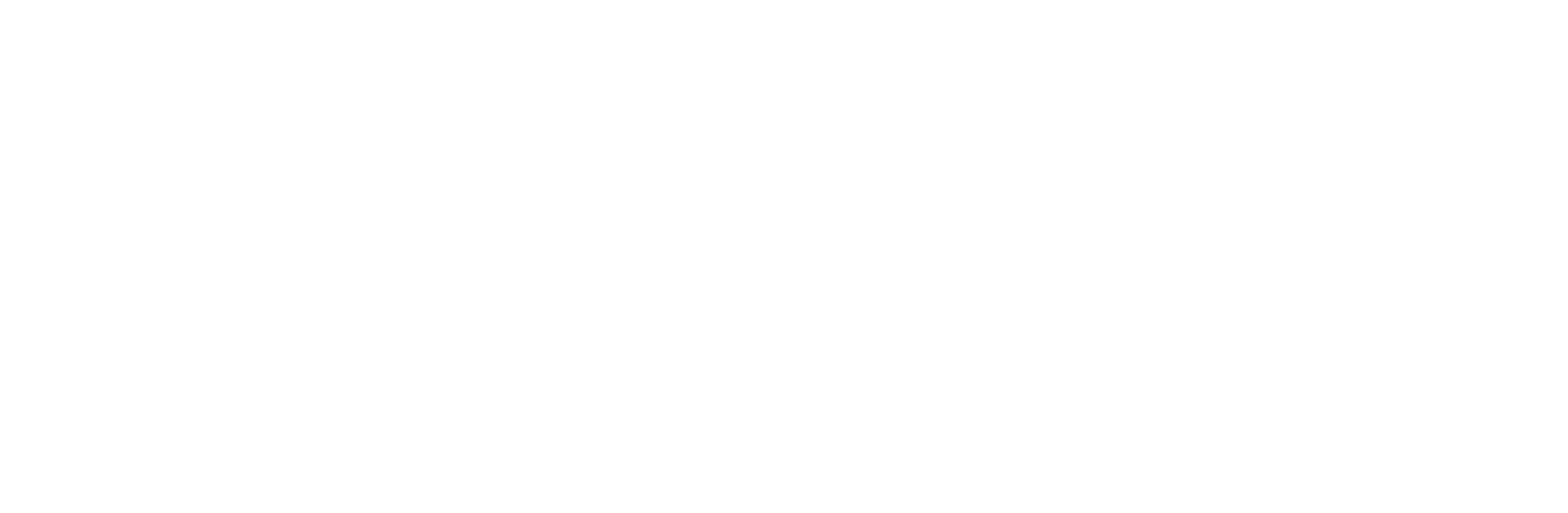 netfontus white logo